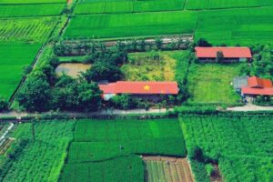 BEFORE NATIONAL DAY, HOT TREND OF CREATING THE NATIONAL FLAG ON HOUSES