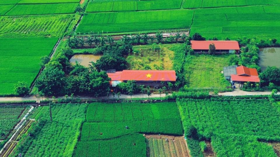 BEFORE NATIONAL DAY, HOT TREND OF CREATING THE NATIONAL FLAG ON HOUSES