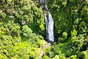 Pu Mat National Park: A Hidden Gem in the Heart of Nghe An