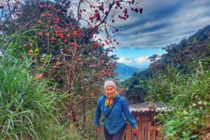 Autumn in Muong Xen: Scarlet Persimmons and Ancient Sa Mu Roof Houses