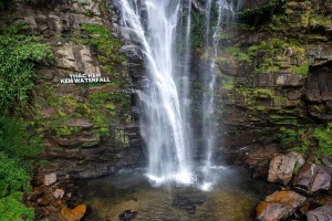 3 Reasons to Visit Pu Mat National Park: Discover the Wild Beauty of Nghe An, Vietnam