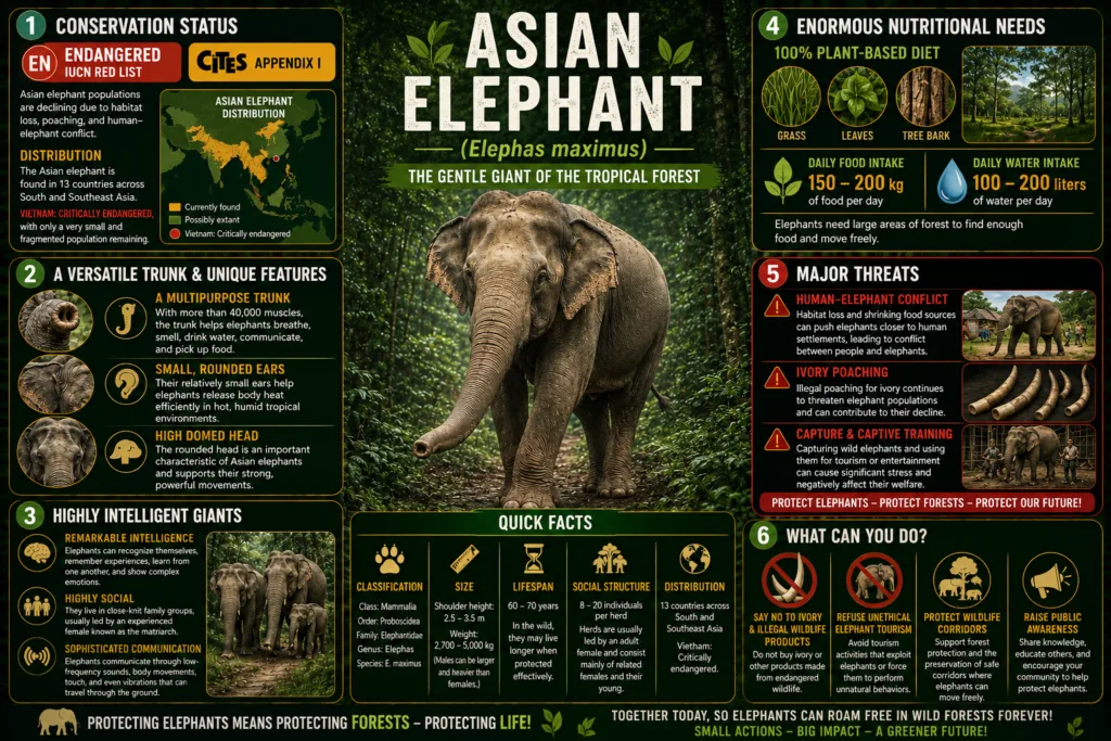 DISCOVER THE WILDLIFE OF PU MAT NATIONAL PARK: A HIDDEN PARADISE IN VIETNAM